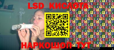 гашик Кингисепп