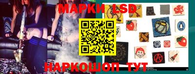 гашик Кингисепп