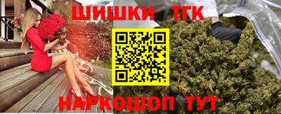 гашик Кингисепп