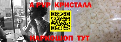 гашик Кингисепп