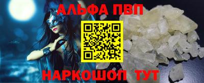 гашик Кингисепп