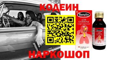 гашик Кингисепп
